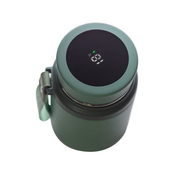 Термос Fashion 700 мл з датчиком температури та ситечком зелений LU-HP-14-20GR фото