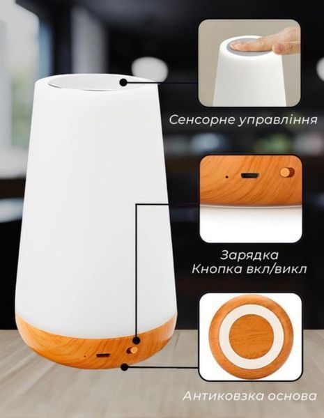 Нічник настільний світильник для дому акумуляторний Pat light HA-114 з пультом 102996 фото